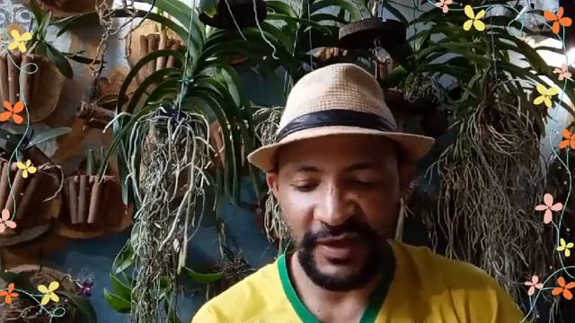 Como fazer cachepôs de vários modelos, Anúncio de 30 orquídeas de adoção
