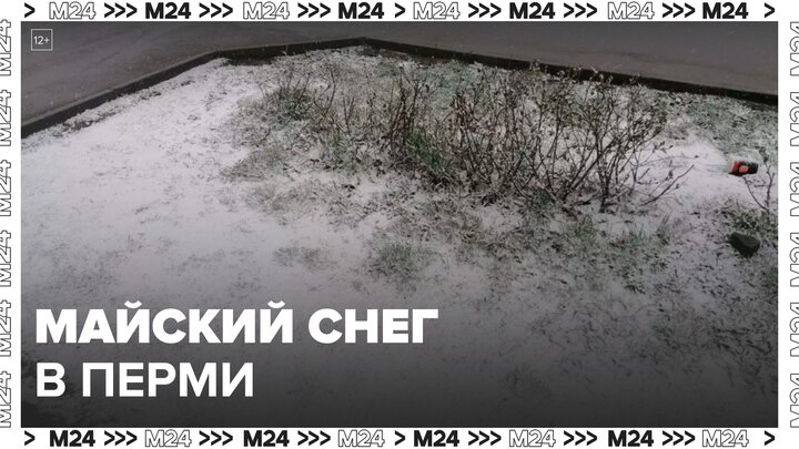 Снегопады накрыли Пермский край в мае - Москва 24