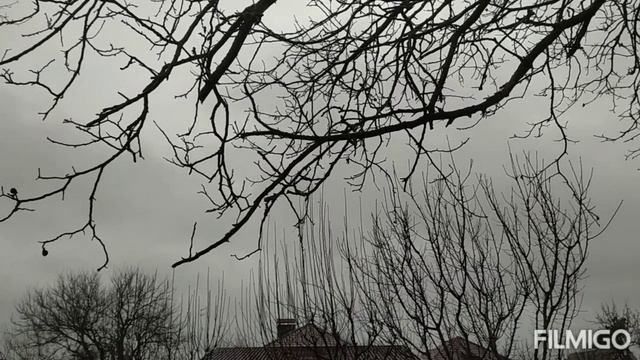 а у нас дождь??☔ 05 января 2024