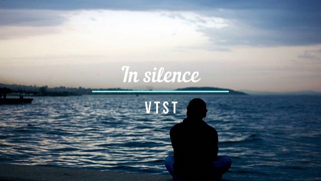 V T S T - In silence