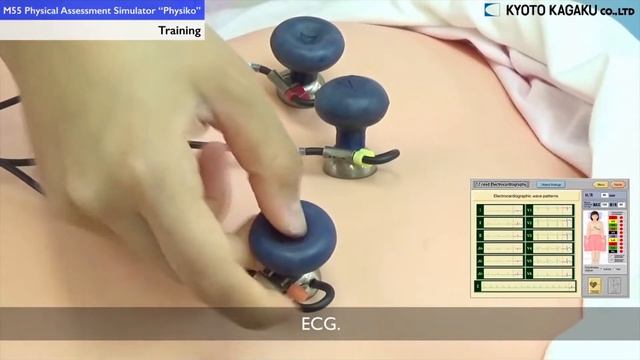 Физико. ВИРТУМЕД // Fiziko. VIRTUMED