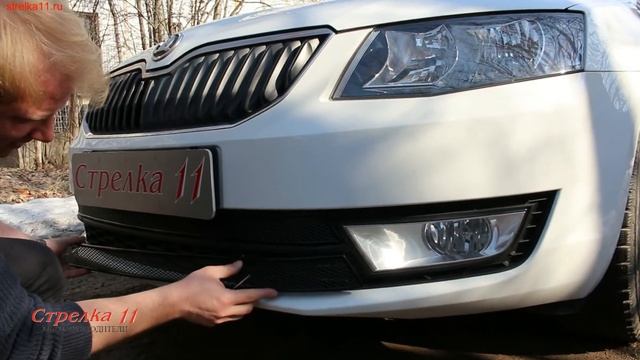 Защита радиатора Premium для SKODA OCTAVIA A7 с 2013г.в.(Черная) - strelka11.ru