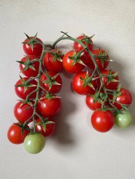 Обзор сортов томатов 16 августа 2023 года.