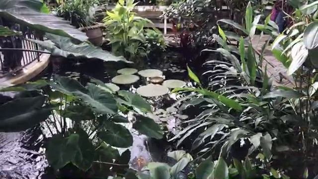 Golden Gate Park and Conservatory of Flowers
