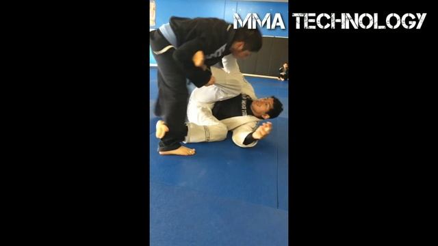 UFC 246 Энтони Петтис vs Диего Феррейра прогноз