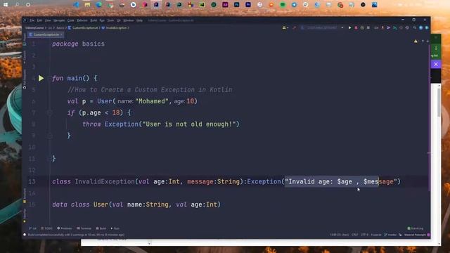 113 Custom Exception