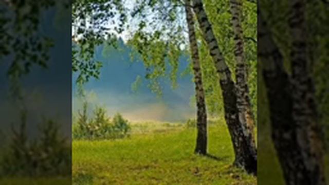 Звуки природы для сна. Живой лес | Nature sounds for sleep. Living forest