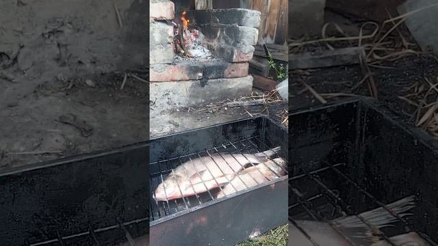 копчение рыбы!