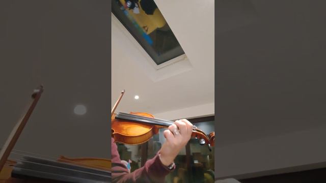 Guarneri Rode Caprice