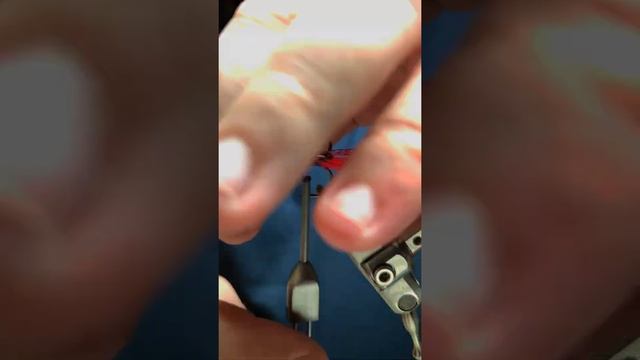 Стример на Горбушу #горбуша #кижуч #сёмга #лосось #salmon #salmonfishing