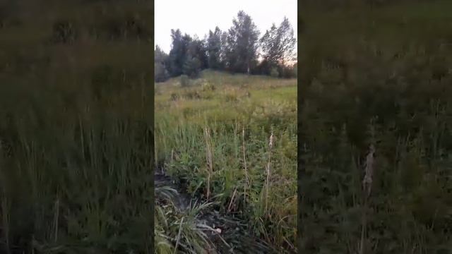 прокатился блин