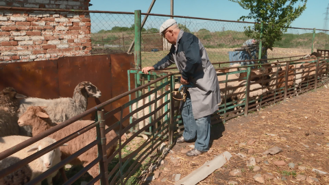 В Адыгее проходит и плановая вакцинация домашнего скота