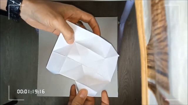 Сказка из бумаги