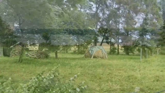 "Научи нас, Боже, состраданию" Из сборника Песнь Возрождения