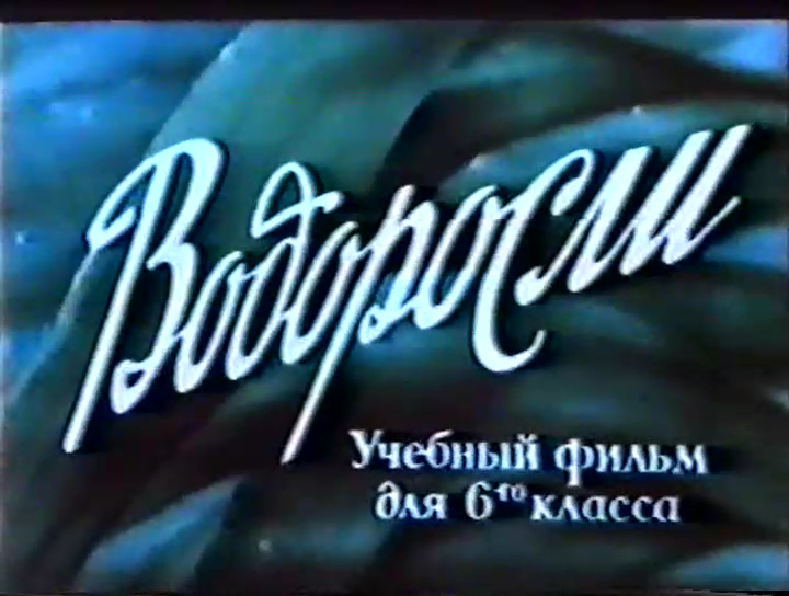 Водоросли