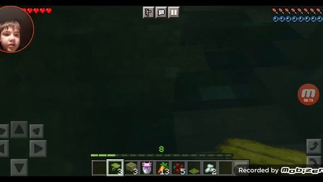 я нашёл пышные пещеры в Minecraft
