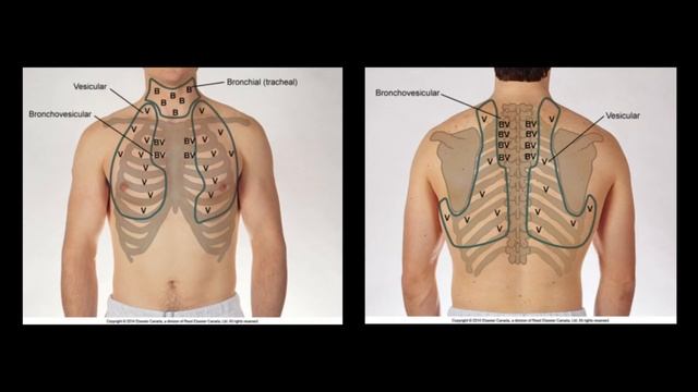 Respiratory Assessment