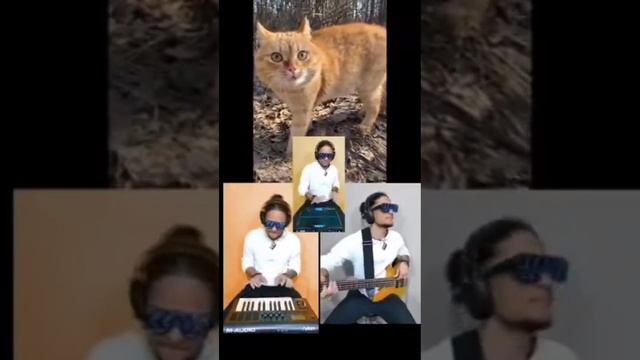 Музыкальный Кот