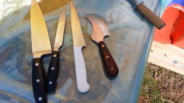 Бройлеру 41 день. Рубим   взвешиваем считаем выход мяса