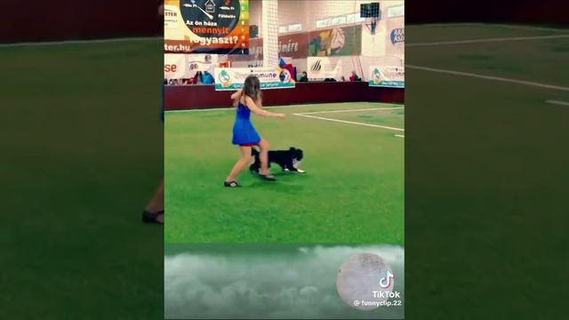 Классный танец с собакой
