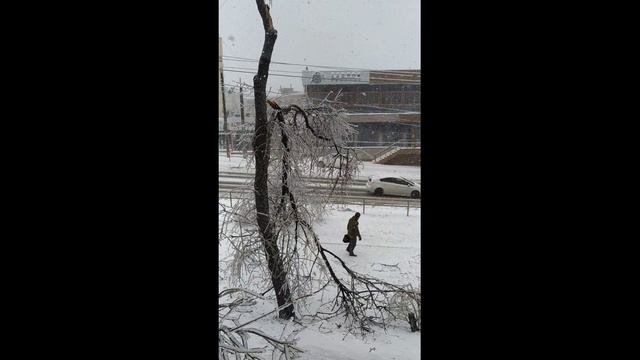 Владивосток 20 ноября 2020 года. Ледяной дождь и ночная метель.