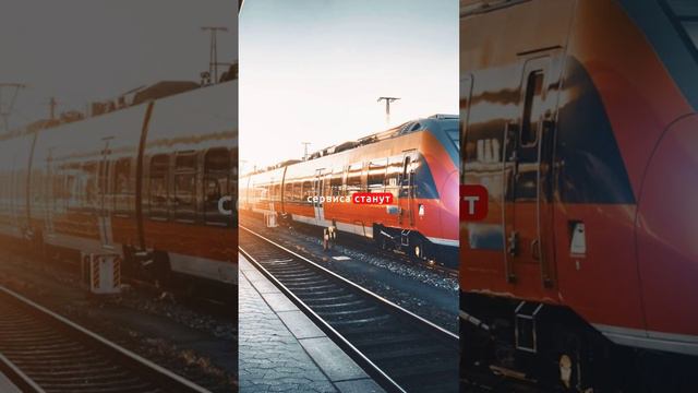 Почта России и РЖД могут запустить поезда для интернет-магазинов