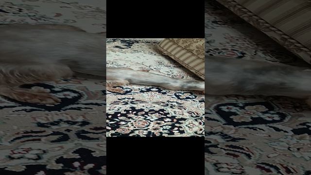 буба и его игрушка