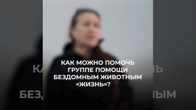 Группа помощи бездомным животным "Жизнь"