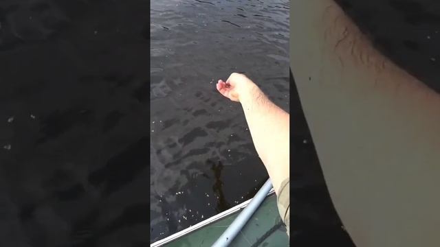 За что вы любите рыбалку?)Ради таким моментов стоит рыбачить.#рыбалка2022 #рыбалка #щука
