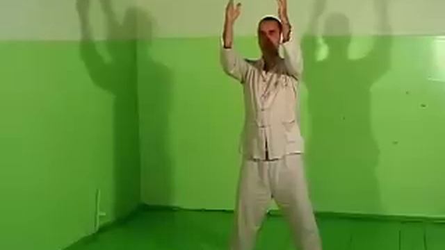 ТАЙЦЗИЦЮАНЬ стиля Ян, упражнение «Шар - в ЦиХай"