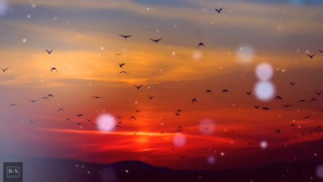 Nature sounds  Расслабляющая музыка для медитации Звуки природы Meditation music