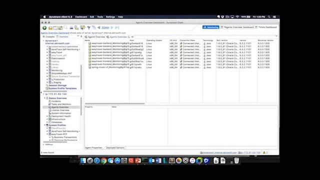 Dynatrace AppMon in Pivotal Cloud Foundry (PCF)