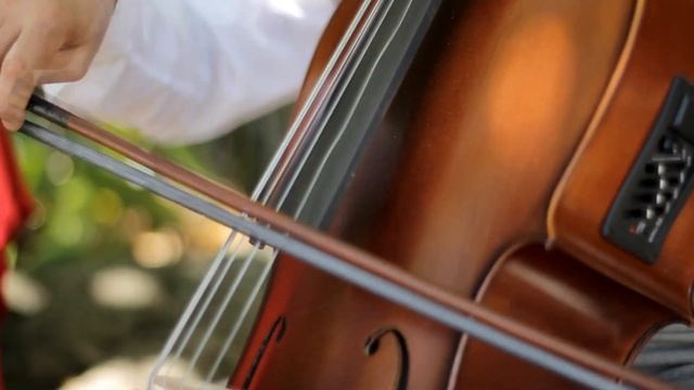 Te faço um cafuné - Voz Violão e Violoncelo