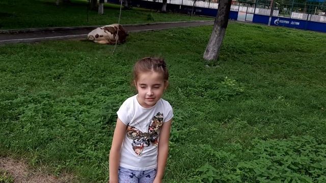 Как надо доить коров. +4