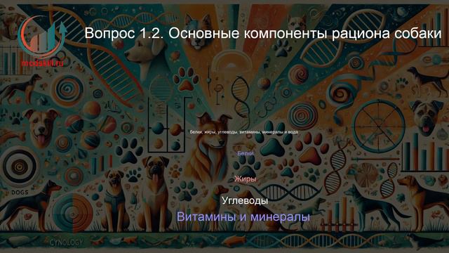 Кинология. Профпереподготовка. Лекция. Профессиональная переподготовка для всех!