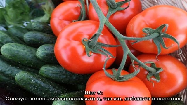 Салат огурцы помидоры капуста свежая