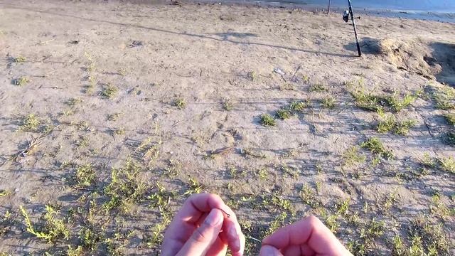 Как быстро собрать донную оснастку на берегу. Макушатник с быстросъёмной клипсой.