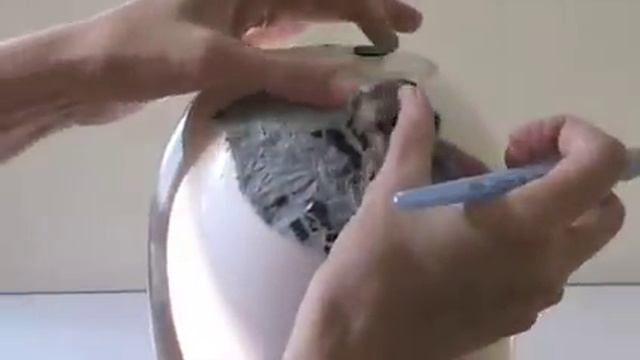 Fast & Easy Rice Paper Decoupage