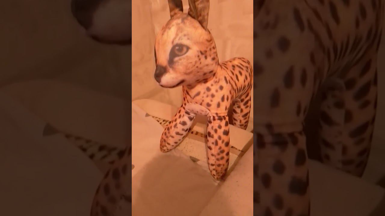 Ура У меня все новые игрушки