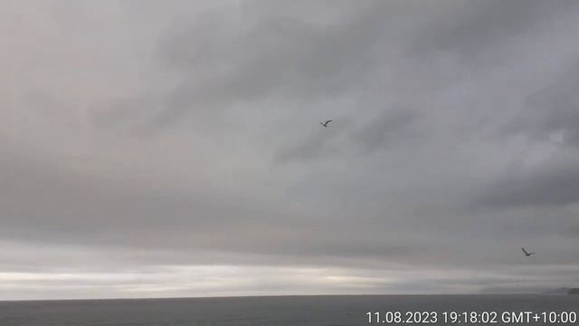 Морской шторм на побережье Ливадии Приморье - от влияния тайфуна Ханун - 11 августа 2023 г.