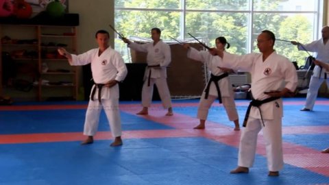 Семинар по Рюкю Кобудо Симбукан в России. Акаминэ Хироси, кихон сай.