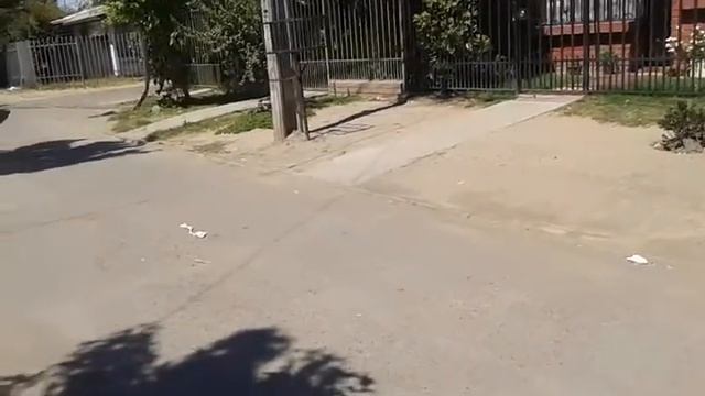 Toyota corola 88 tuning rancagua