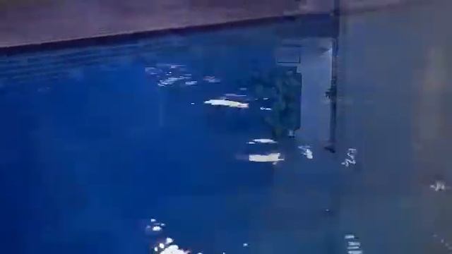 теплый бассейн в Таразе.