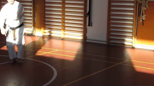 Kagawa-sensei demonstrating beginning of kata gojushiho-dai
