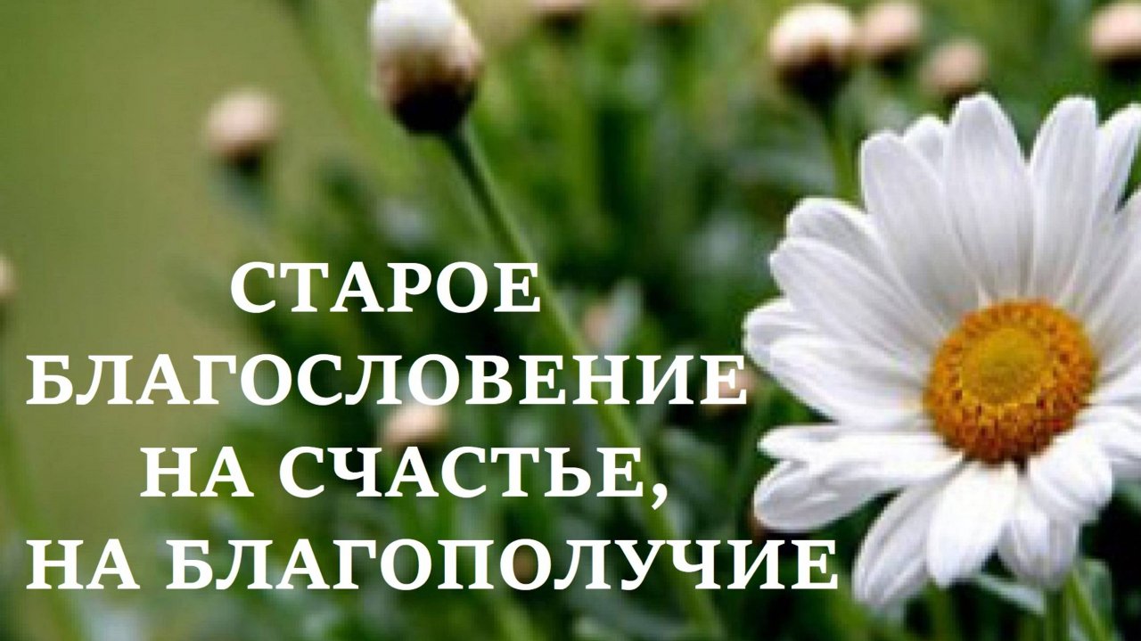 СТАРОЕ БЛАГОСЛОВЕНИЕ НА СЧАСТЬЕ, НА БЛАГОПОЛУЧИЕ | Говорите это своим близким