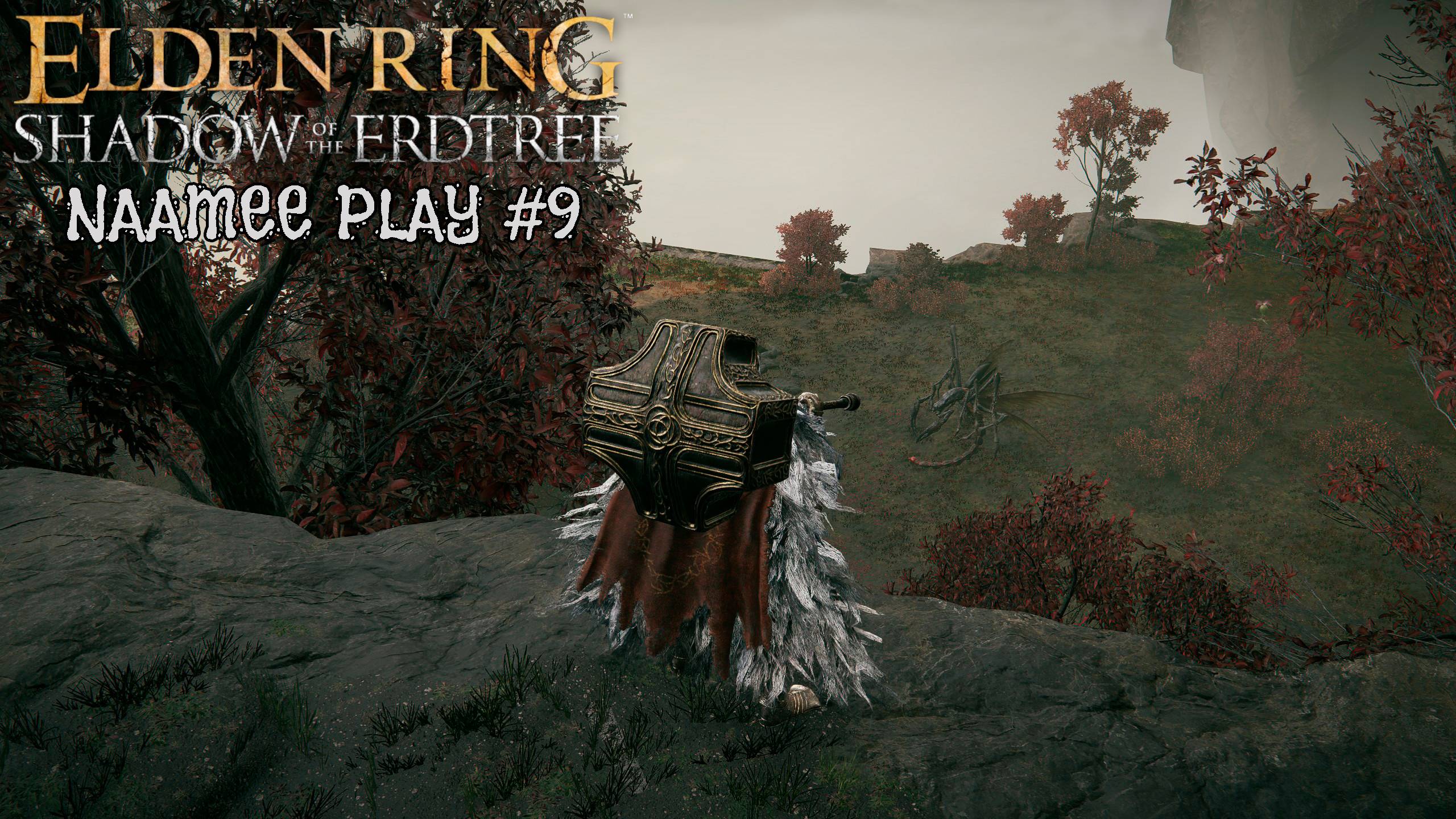 ELDEN RING Shadow of the Erdtree #9   Пытаемся открыть карту