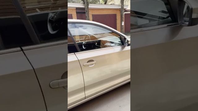 Аренда Шкода Рапид в Москве недорого