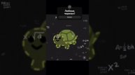 Turtle #shorts