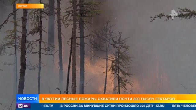 Рен ТВ, Борьба с пожарами в Якутии и на Чукотке, 21 июня 2024