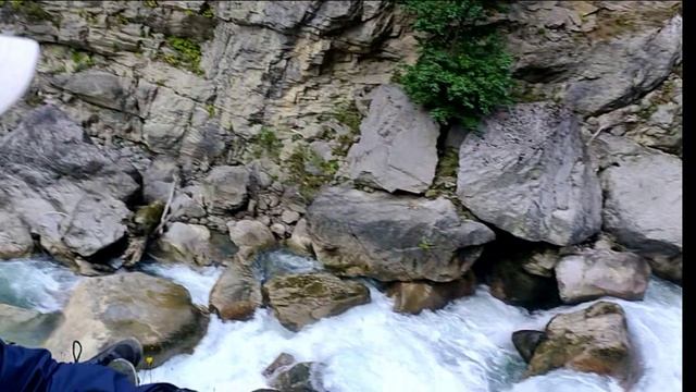 Арабика Абхазия 2021 октябрь
